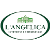 L'Angelica